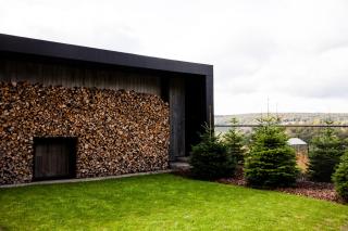 Pine Tree - Herbeumont - 4