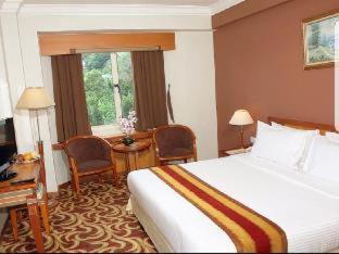 Grand Eska Hotel & Suites Batam - 4