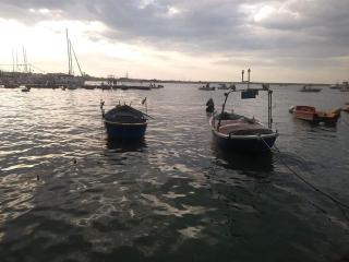 Agorà Bisceglie - Bisceglie - 8