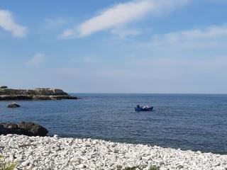 Agorà Bisceglie - Bisceglie - 4