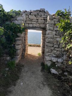 Agorà Bisceglie - Bisceglie - 3