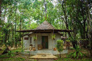 The Tropical Beach Resort - Ko Chang - 9
