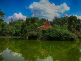 Sapulidi Cafe, Gallery & Resort - 5