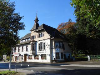 Lenzkircher Hof - Lenzkirch - 5