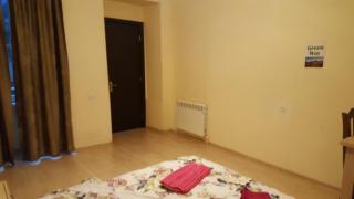 "Green way" Guest house - Tbilisi - 7
