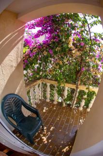 Guest House Lotos - 7