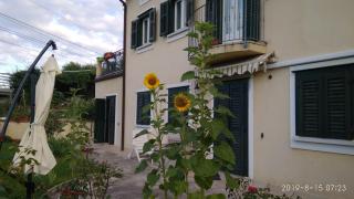 Alle rose barcolane - Trieste - 5