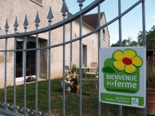 La ferme de flo' - Évry - 5