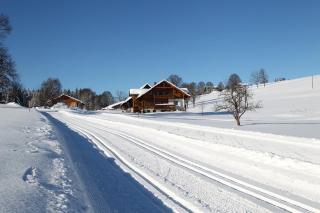 Biobauernhof Brandlhof - Ramsau am Dachstein - 9
