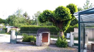 la longère de l allée du château de Cheverny - Cheverny - 3