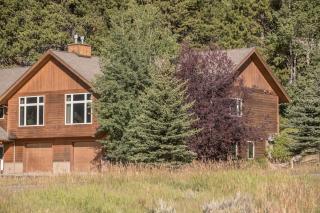 Blue Grouse #14 - Big Sky - 9