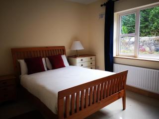 Modern Six Bedroom House Westport - 8