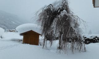 Haus Kirchner - Flachau - 2