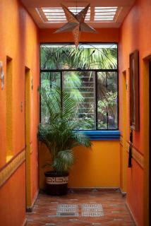 Planet Hostel - San Cristóbal de Las Casas - 4