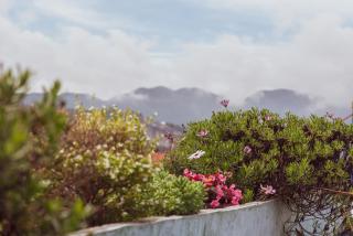 Planet Hostel - San Cristóbal de Las Casas - 5