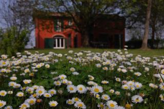B&B L'Alberone - Budrio - 5