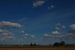 B&B L'Alberone - 1