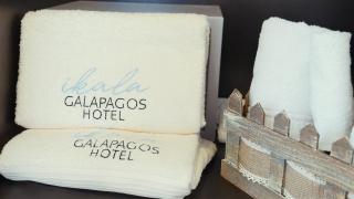 Ikala Galapagos Hotel - Puerto Ayora - 5
