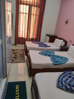 Garden View Hostel - Il Cairo - 7