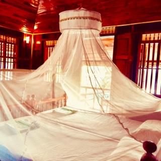 Malayalam Lake Resort - Alleppey - 1