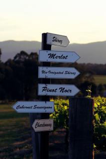 Blueberry Hill Vineyard Stay - Rothbury - 4