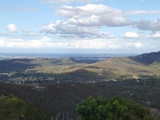 Bottletree Gardens - Mini Manson Blue - 2