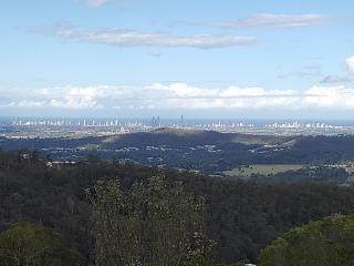 Bottletree Gardens - Mini Manson Blue - Gold Coast - 3