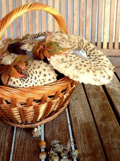 Apartments Bobi - Tolmin - 2