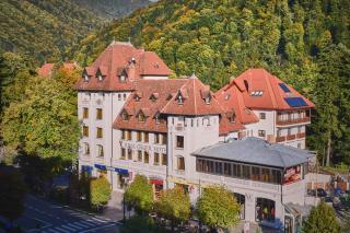 Hotel Rina Cerbul - Sinaia - 0