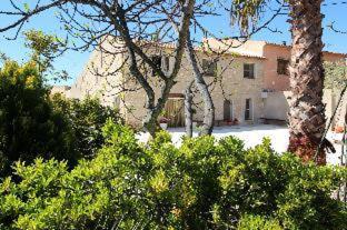 Sunny Vista - Pinoso - 5
