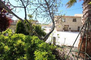 Sunny Vista - Pinoso - 2