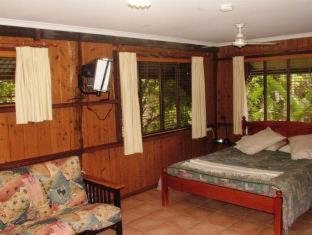 Atherton Blue Gum - Atherton - 5