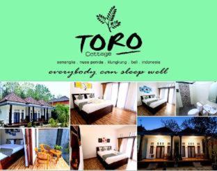 Toro Cottage - 2