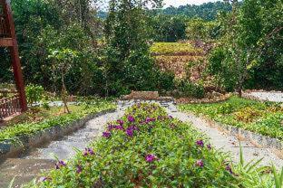 Phu Quoc Bambusa Resort - Phú Quốc - 5