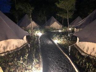Roost Glamping - SHA Certified - 7