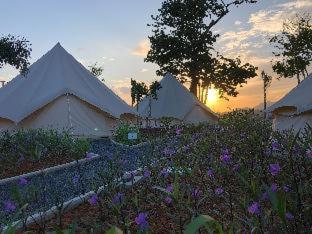 Roost Glamping - SHA Certified - 2