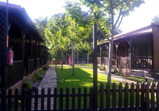 Complejo Camping La Mata - Madrigal de la Vera - 5