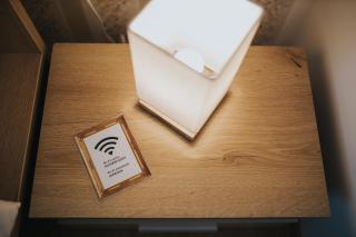 Gavri's Classic Apartment - 7