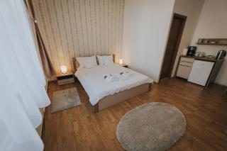 Gavri's Classic Apartment - 8