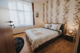 Gavri's Classic Apartment - 9