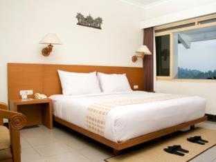 SanGria Resort And Spa - Lembang - 8