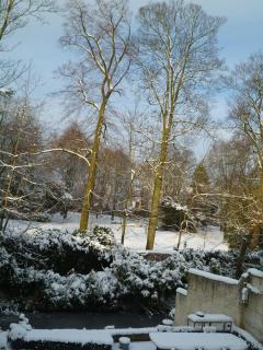 B&B Speelmansrei - Bruges - 0
