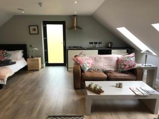 Lakeside Studio 1 Loft Apartment - Enniskillen - 0
