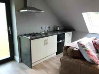 Lakeside Studio 1 Loft Apartment - Enniskillen - 6