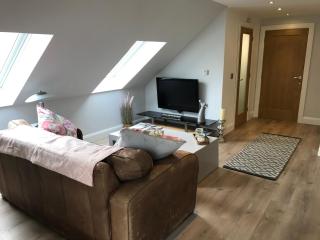 Lakeside Studio 1 Loft Apartment - Enniskillen - 8