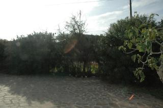 VILLETTA ELBA LE PALME LIDO DI CAPOLIVERI - Capoliveri - 7