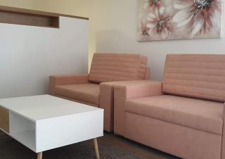 Laganini, studio apartman 3 FLOWER - Nova Gradiška - 4