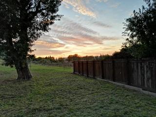 Agriturismo "La Fondazza" - Imola - 3