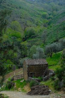 Casa da Neta - Açor - 5