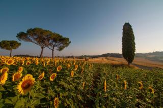 Villa Cozzano - Pozzuolo - 6